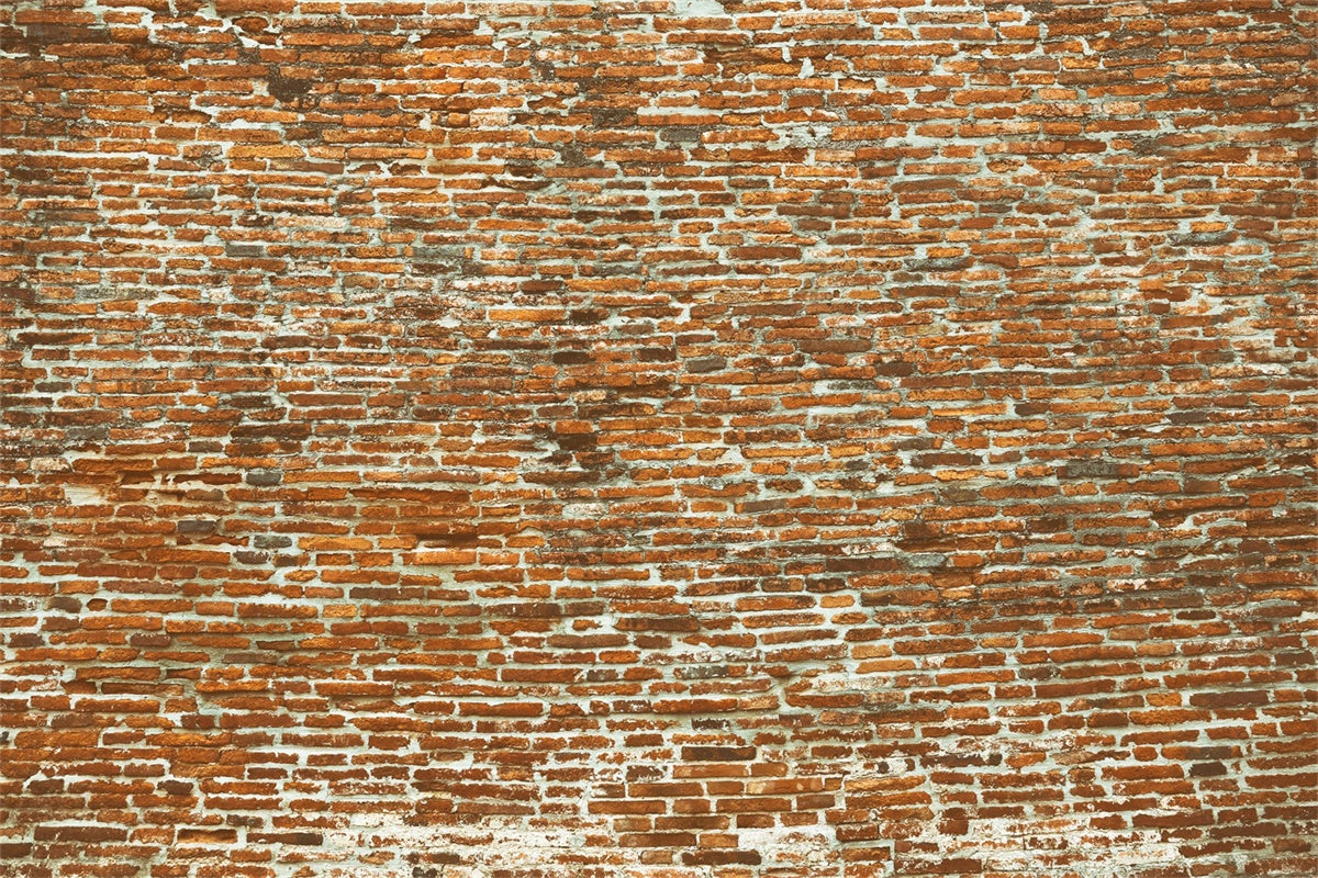 Brick Wall Photo Backdrop Old Curved Brick Surface Backdrop CJJ3-30