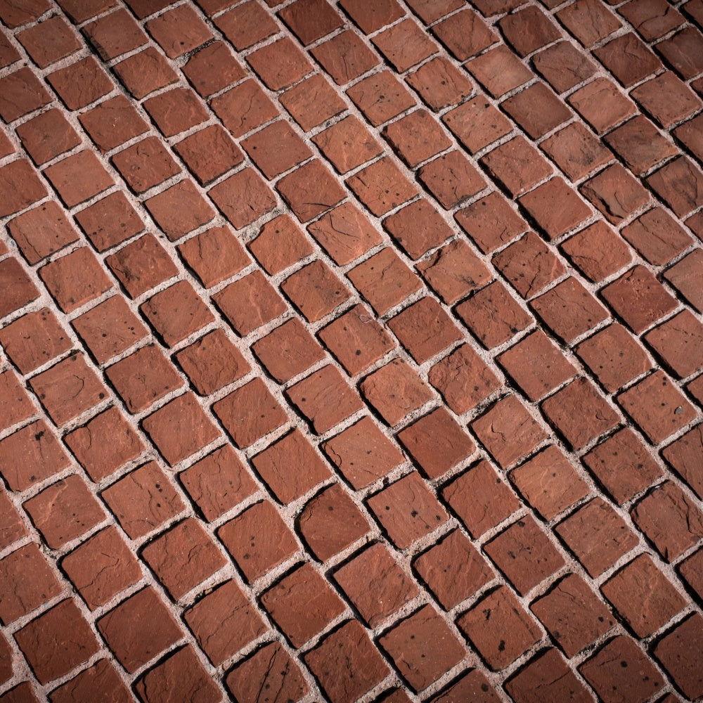 Brick Backdrop Photography Rustic Red Brick Walkway Backdrop CJJ3-34