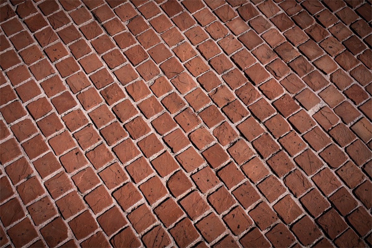 Brick Backdrop Photography Rustic Red Brick Walkway Backdrop CJJ3-34