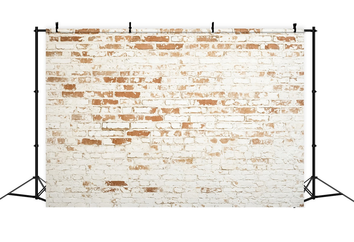 Brick Photo Backdrop Weathered White Brick Texture Backdrop CJJ3-37