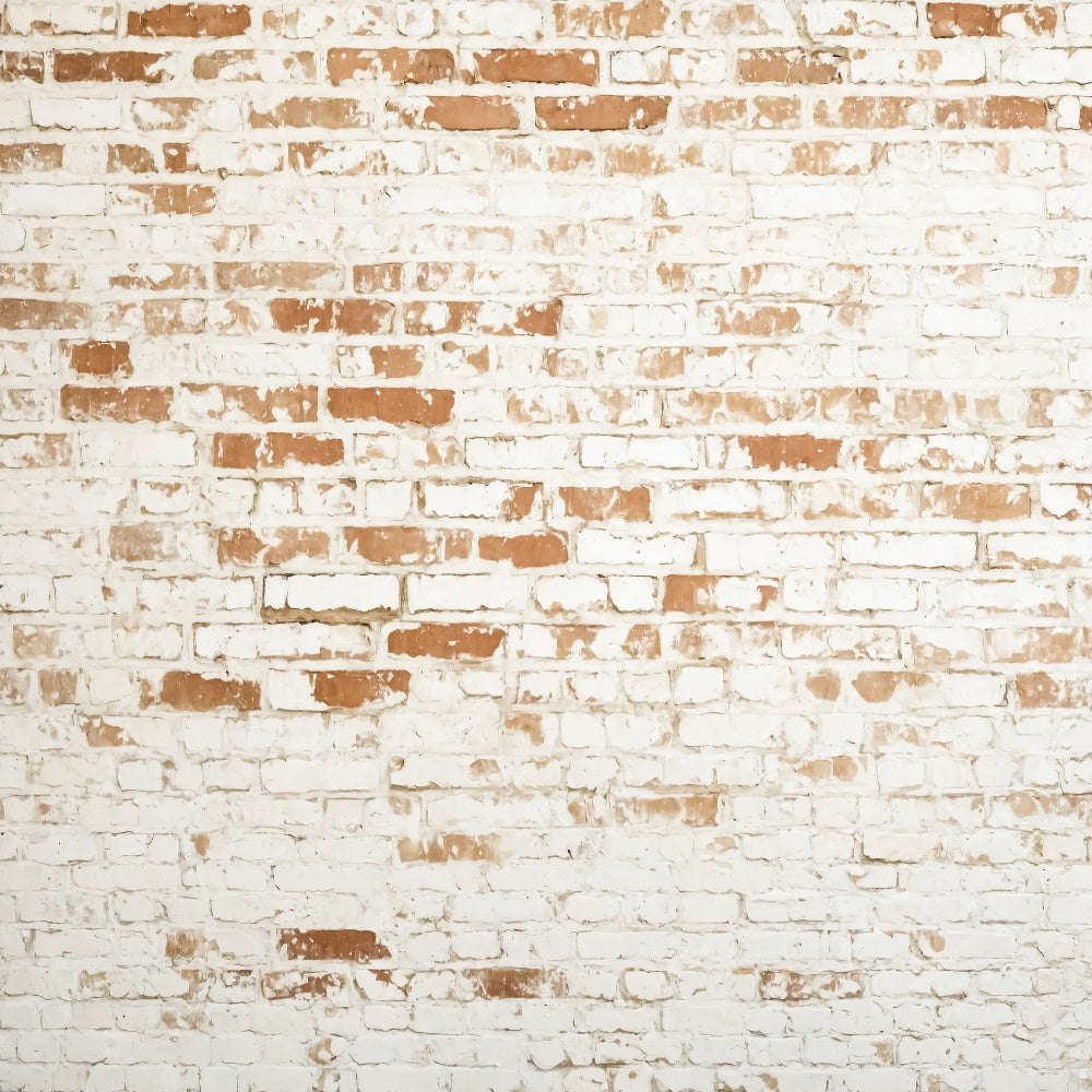 Brick Photo Backdrop Weathered White Brick Texture Backdrop CJJ3-37