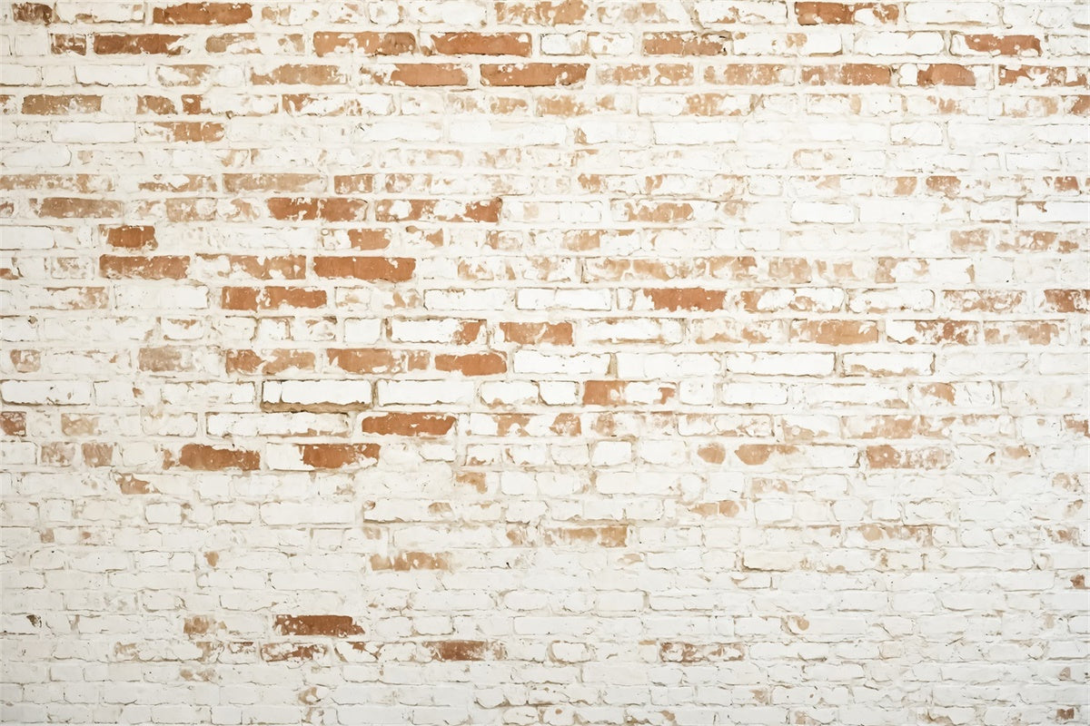 Brick Photo Backdrop Weathered White Brick Texture Backdrop CJJ3-37