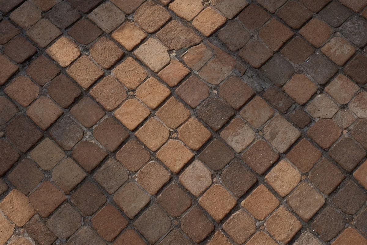 Brick Backdrop Cloth Antique Brown Brick Pavement Backdrop CJJ3-39