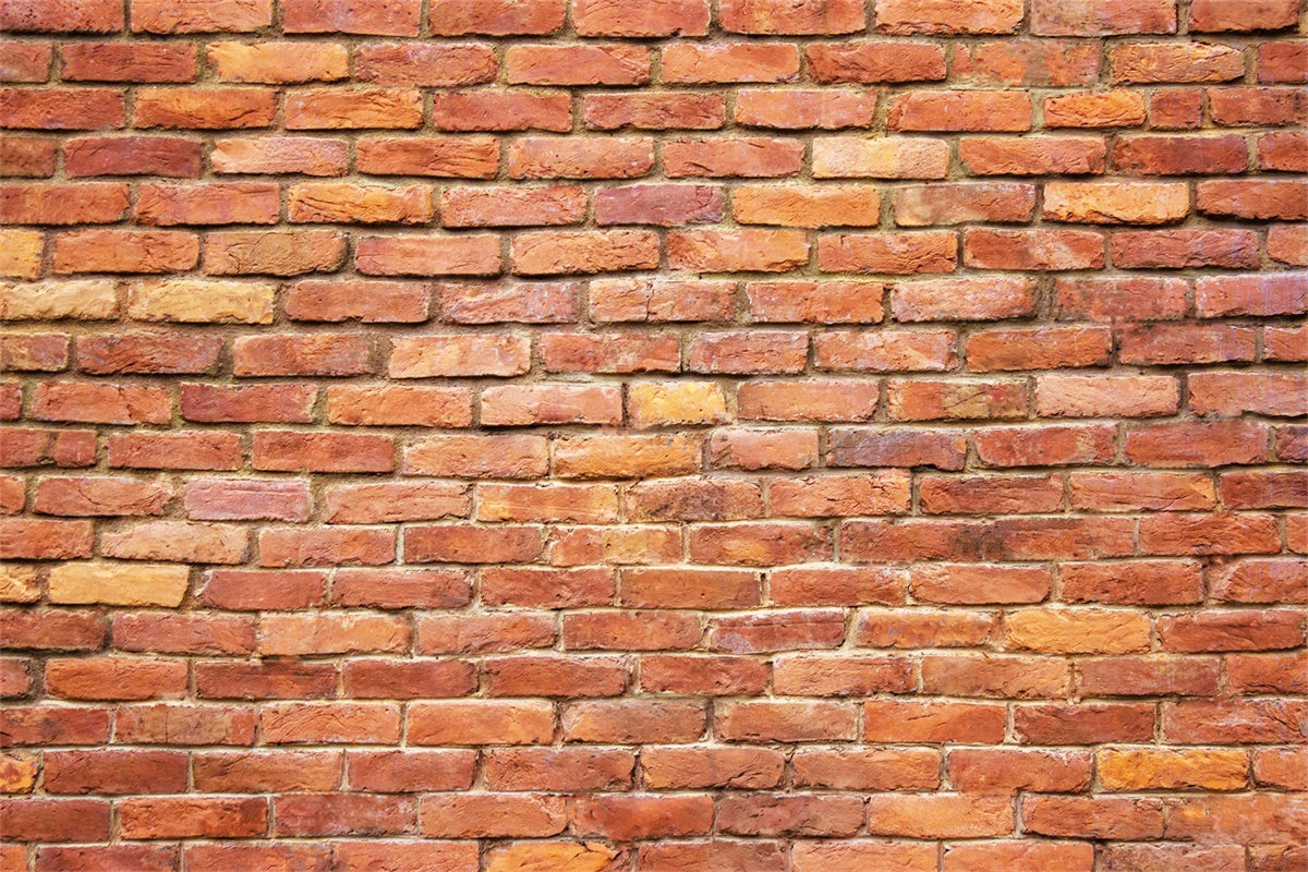 Brick Photo Backdrop Lively Tangerine Brick Backdrop CJJ3-4