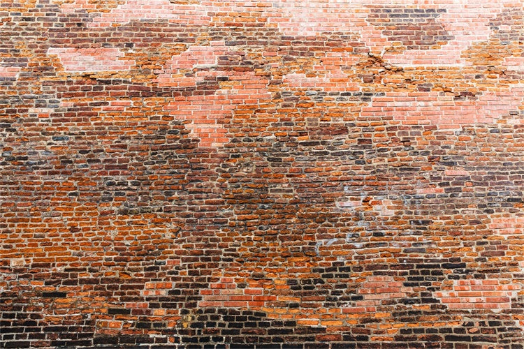 Brick Backdrop Cloth Retro Style Variegated Brick Backdrop CJJ3-5