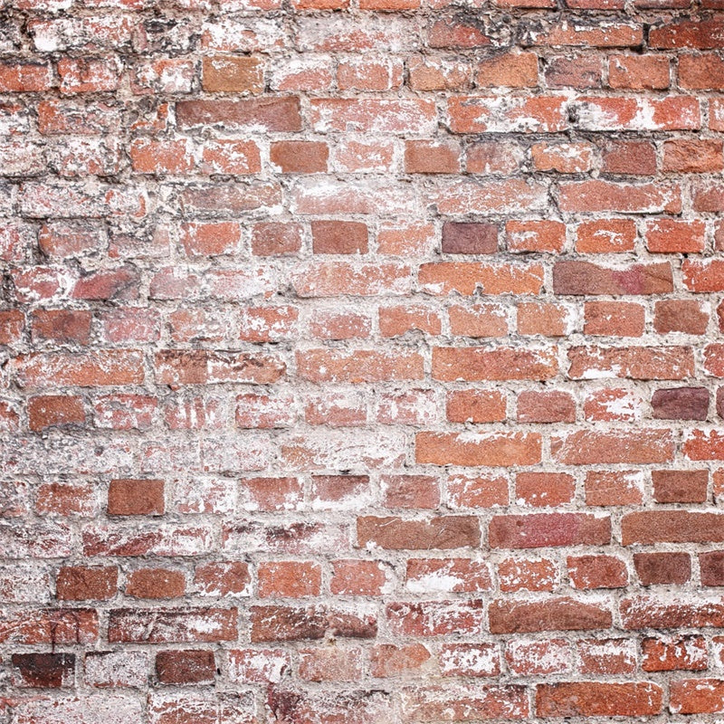 Brick Photo Backdrop Rustic Faded Brick Texture Backdrop CJJ3-7
