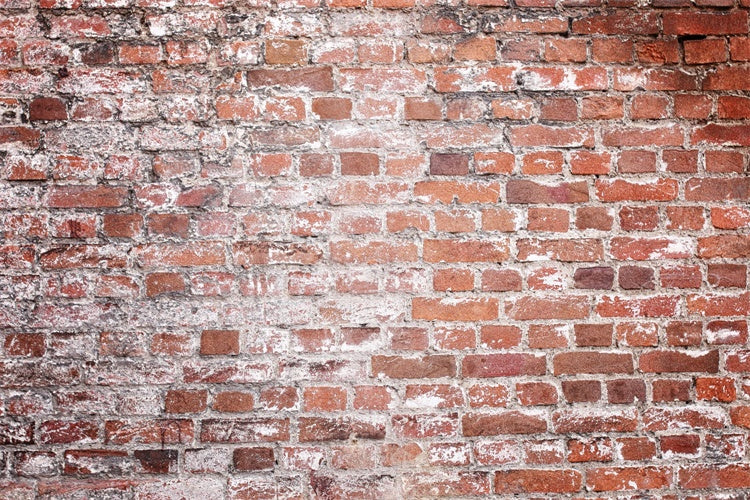 Brick Photo Backdrop Rustic Faded Brick Texture Backdrop CJJ3-7