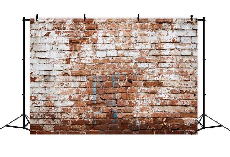 Brick Wall Photography Backdrop Aged Whitewashed Brick Backdrop CJJ3-9