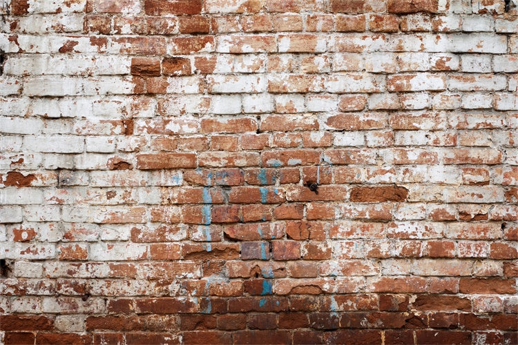 Brick Wall Photography Backdrop Aged Whitewashed Brick Backdrop CJJ3-9