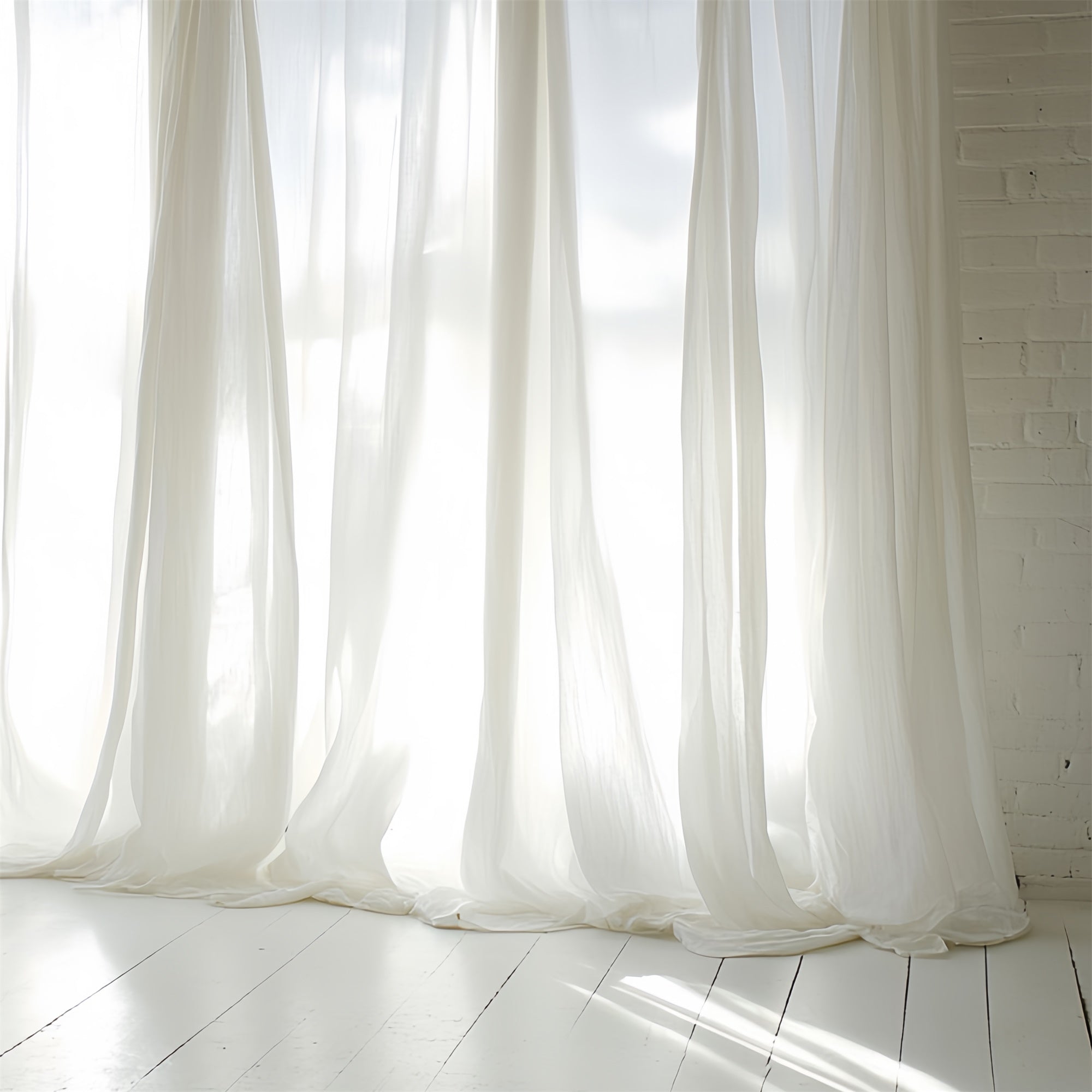 Portrait Studio Backdrops Soft White Sheer Curtain Backdrop CSH4-179