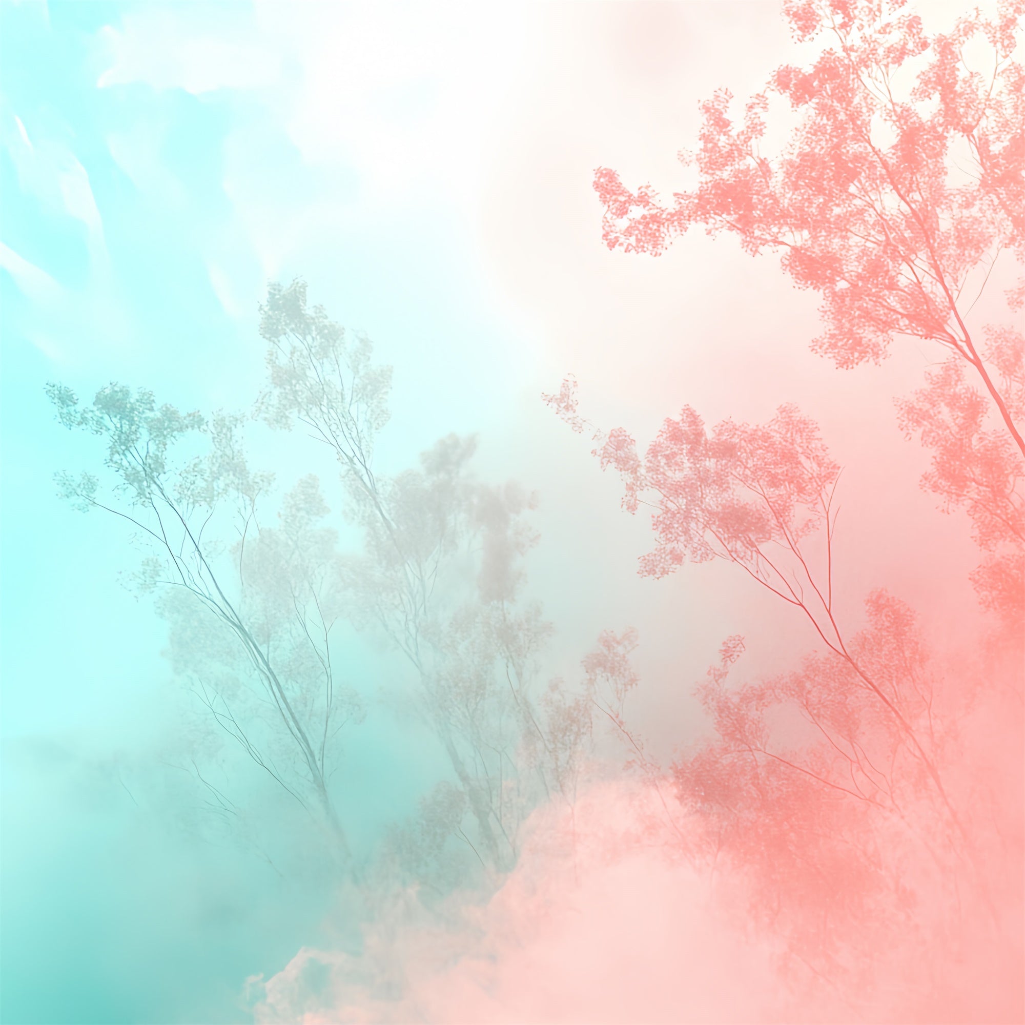 School Portrait Backdrops Gradient Woodland Mist Backdrop CSH4-186