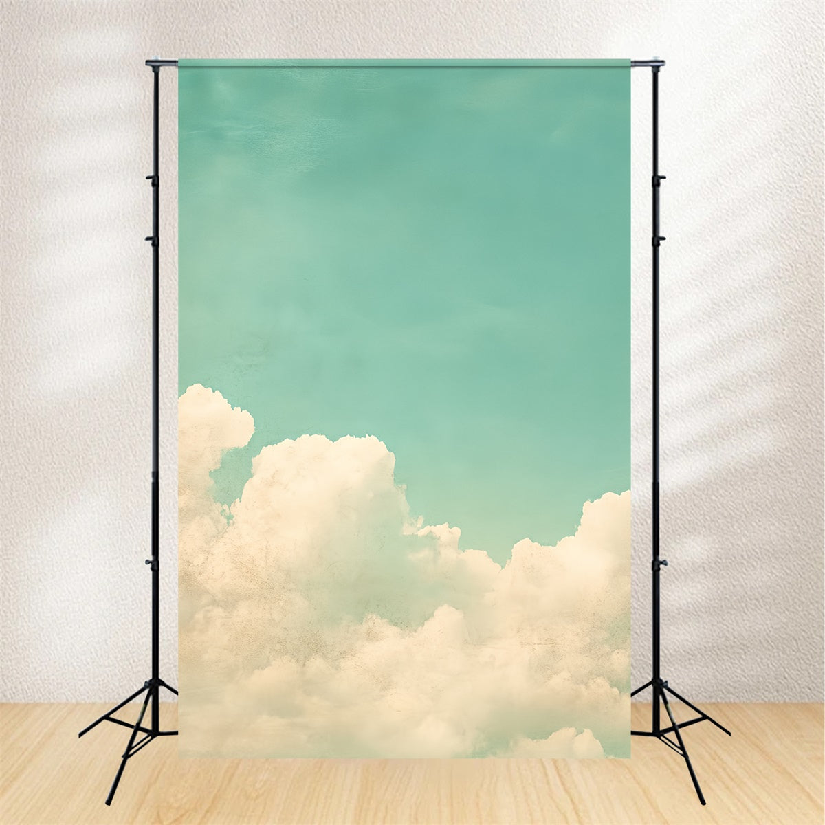 School Photo Backdrops Vintage Style Cloudscape Backdrop CSH4-189