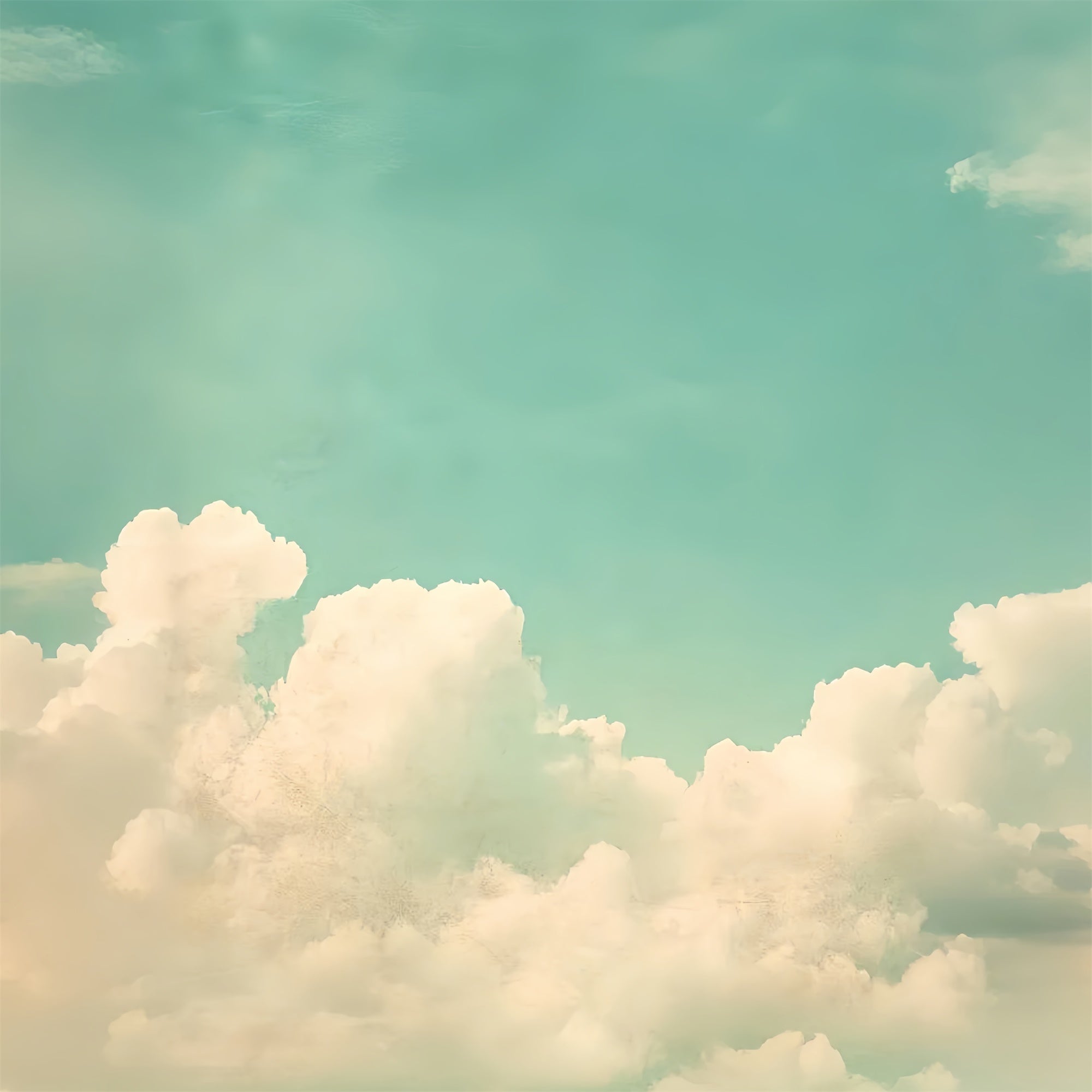 School Photo Backdrops Vintage Style Cloudscape Backdrop CSH4-189