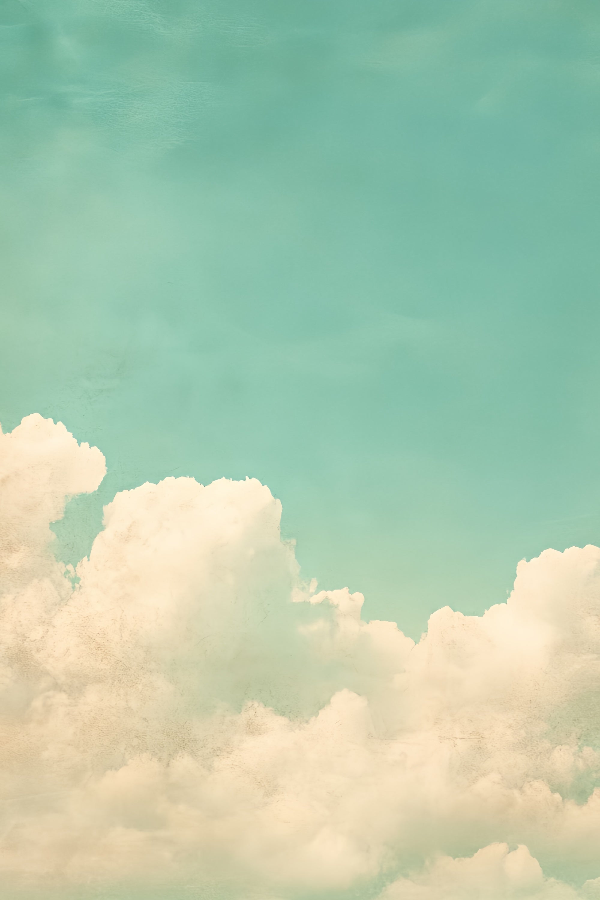 School Photo Backdrops Vintage Style Cloudscape Backdrop CSH4-189