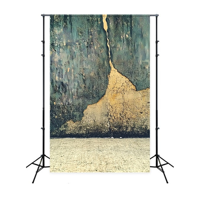 Portrait Backdrops Distressed Cracked Texture Wall Backdrop CSH4-190