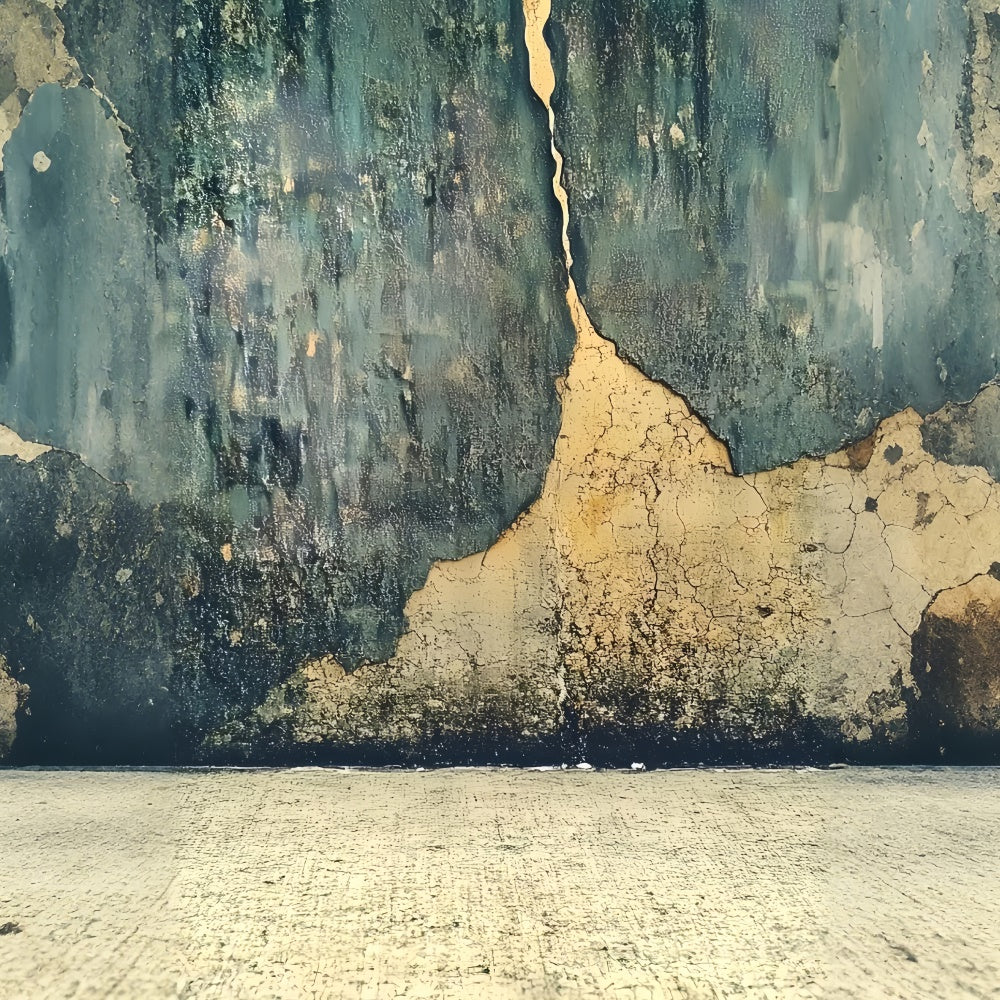 Portrait Backdrops Distressed Cracked Texture Wall Backdrop CSH4-190