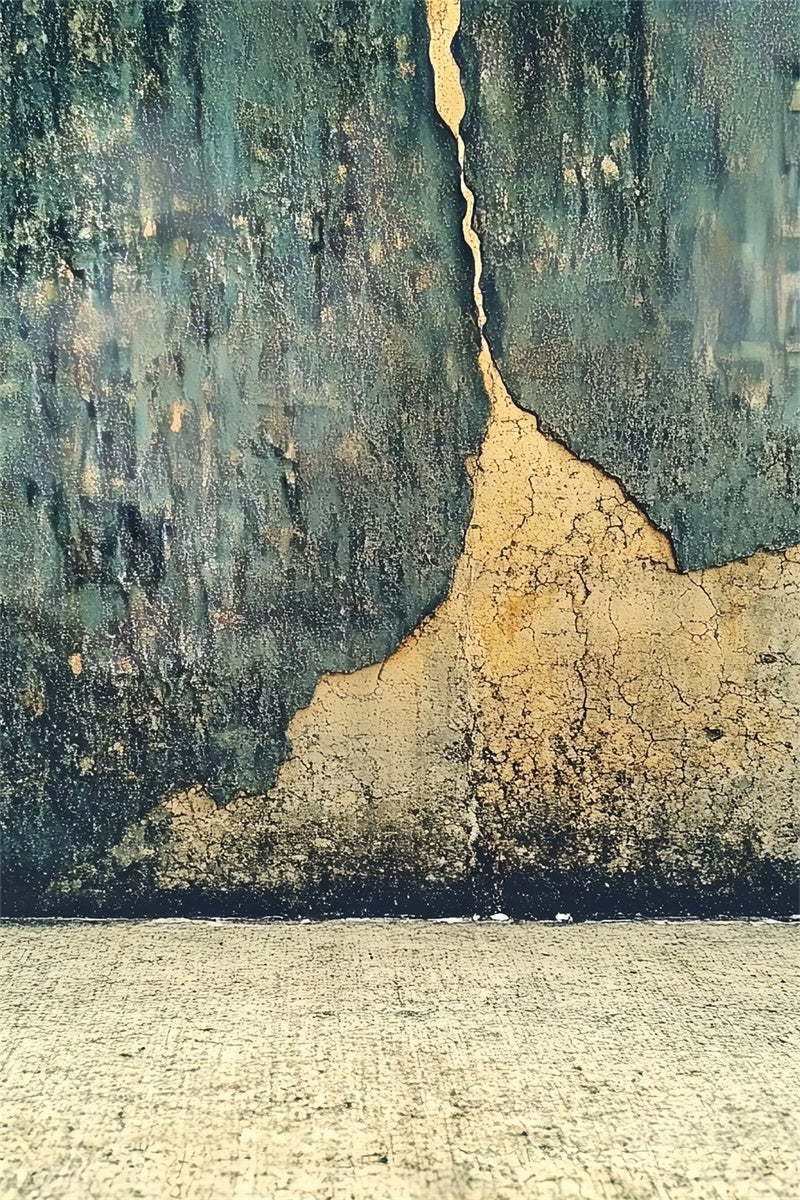 Portrait Backdrops Distressed Cracked Texture Wall Backdrop CSH4-190