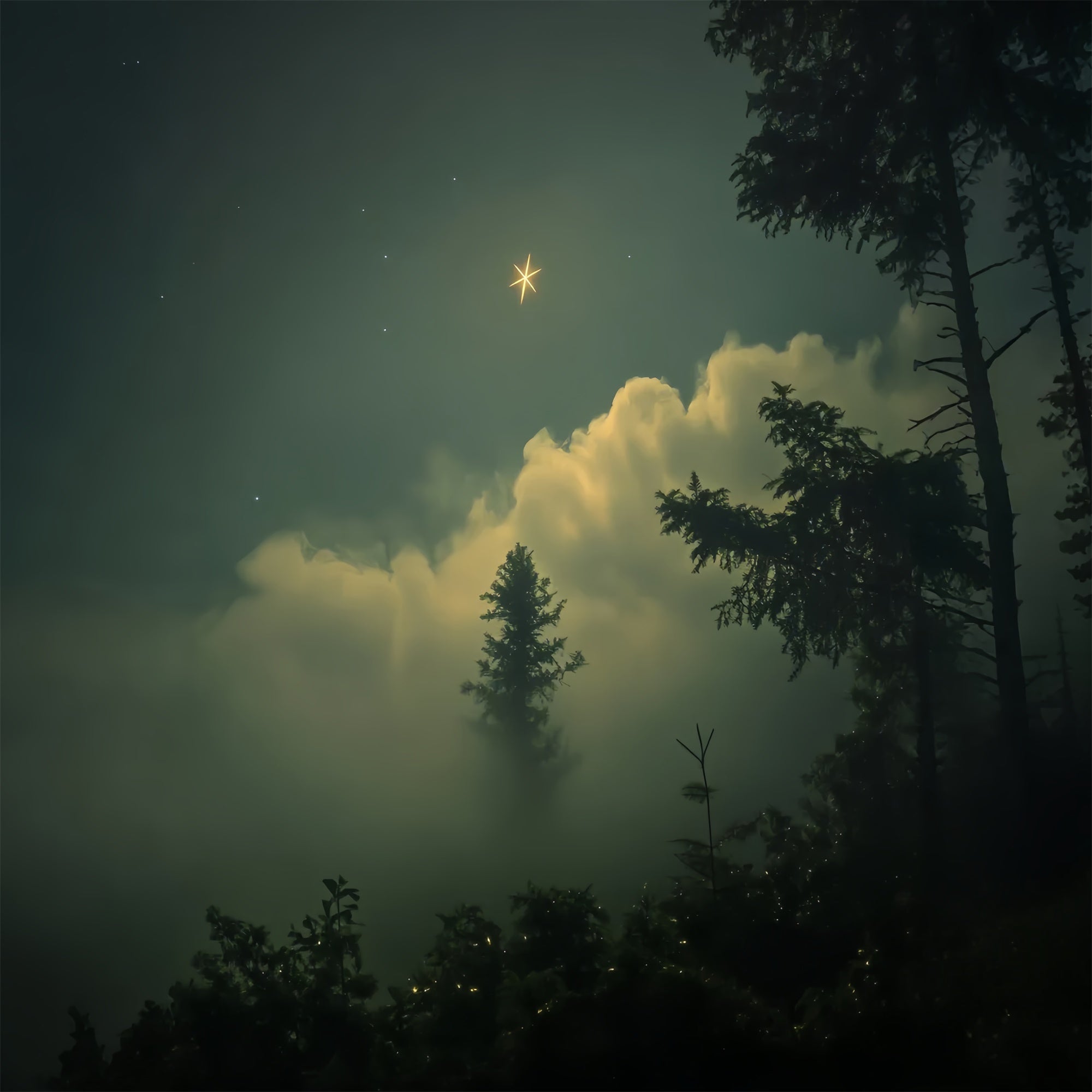 Portrait Studio Backdrops Dreamy Star Glow Forest Backdrop CSH4-193