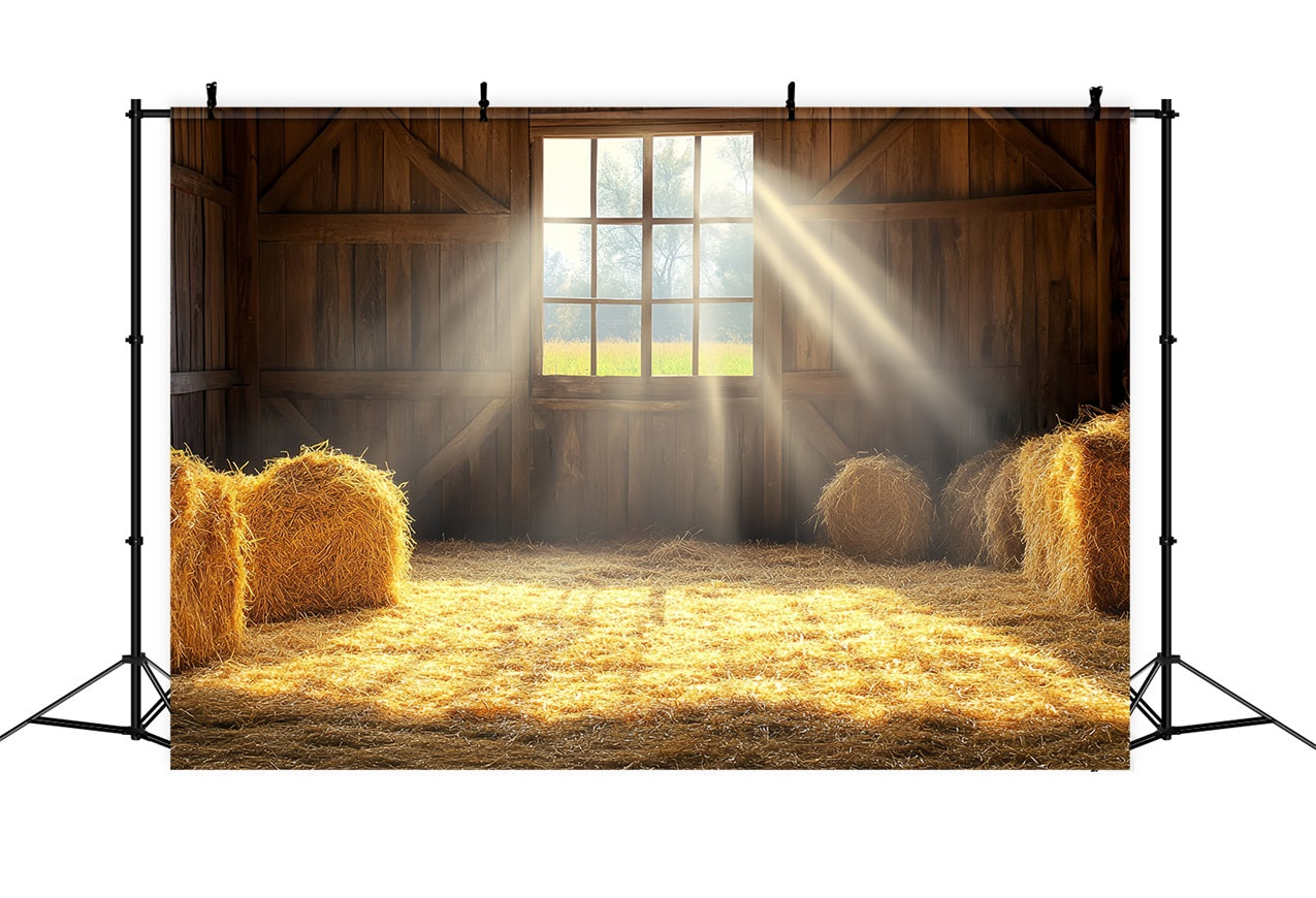 Barn Photo Backdrop Sunlight Window Straw Bales Backdrop CSH4-211