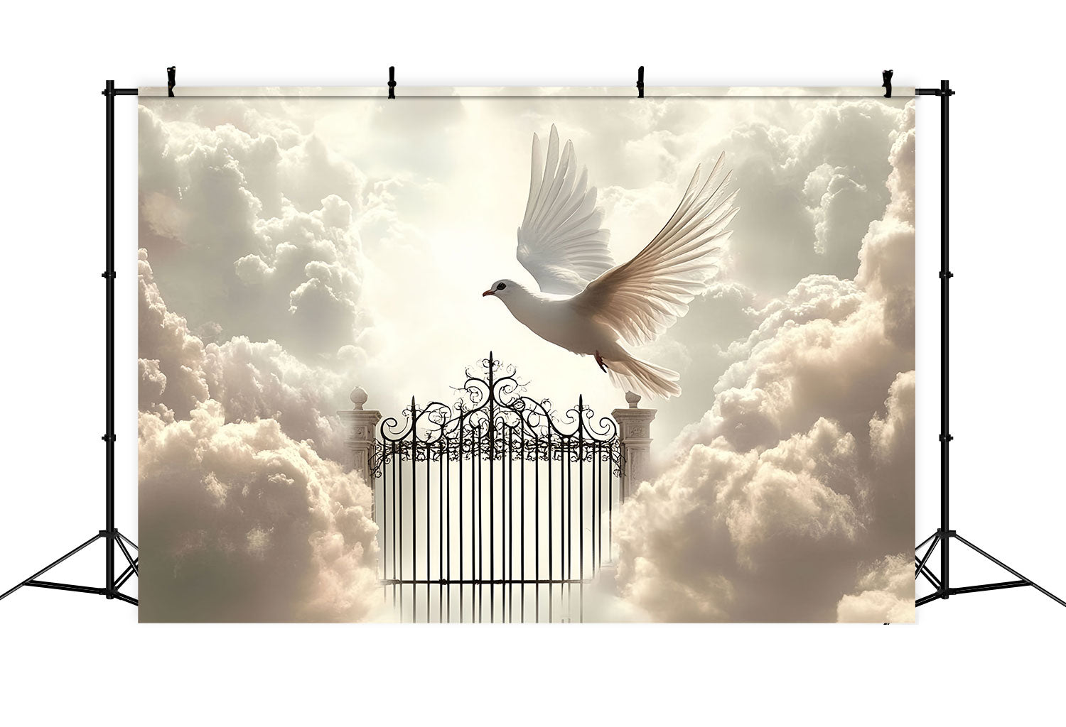 Cloud Photo Backdrop Heavenly Gates Dove Flight Backdrop CSH4-234