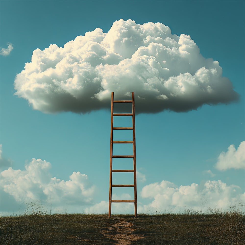 Sky With Clouds Backdrop Floating Cloud Ladder Backdrop CSH4-244