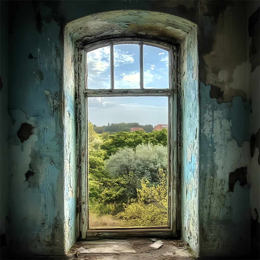 Vintage Backdrop Peeling Blue Wall Window Backdrop CSH4-267