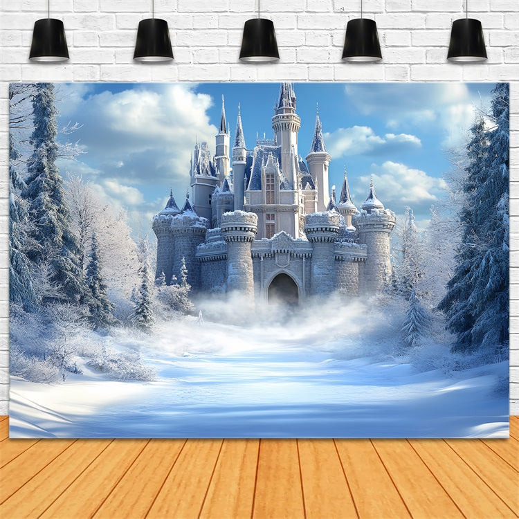 Winter Castle Backdrop Frozen Kingdom Bright Sky Backdrop CSH4-324