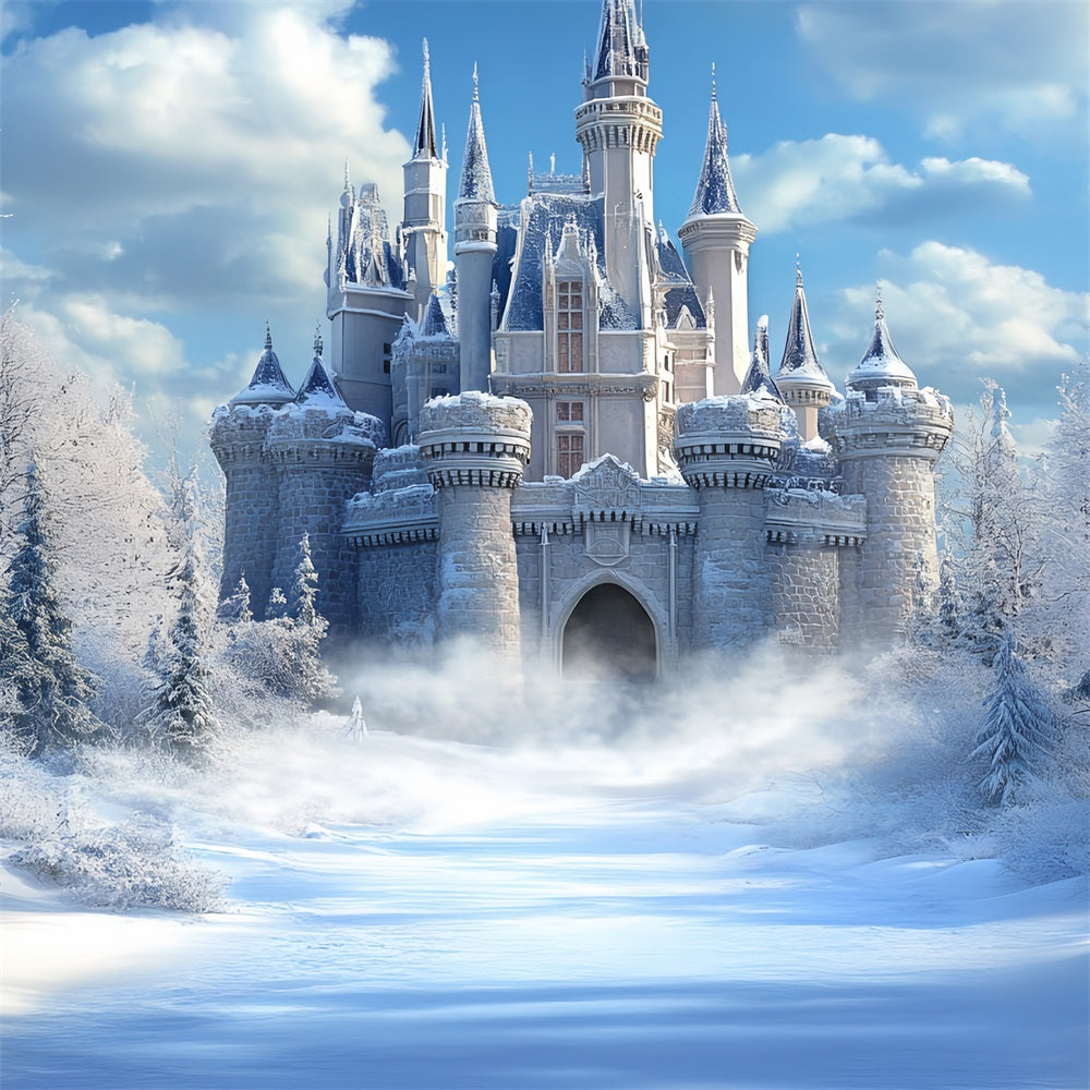 Winter Castle Backdrop Frozen Kingdom Bright Sky Backdrop CSH4-324