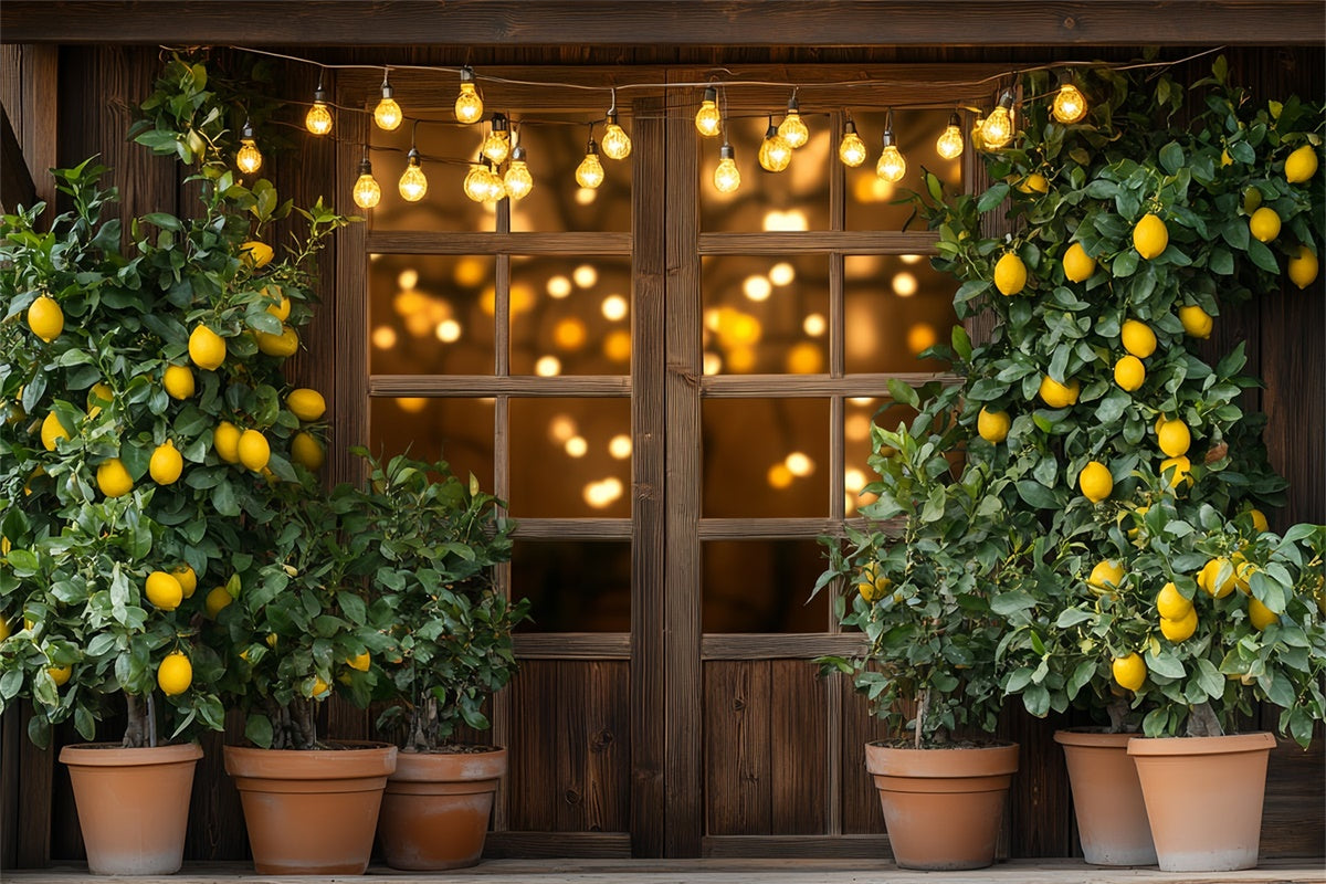 Lemon Backdrop Lemon Tree Lights Summer Backdrop CSH5-123