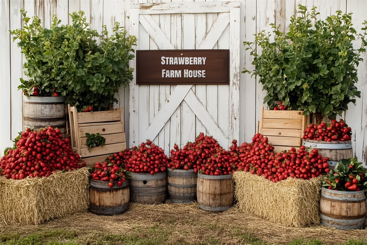 Strawberry Backdrop Rustic Strawberry Farmhouse Backdrop CSH5-128
