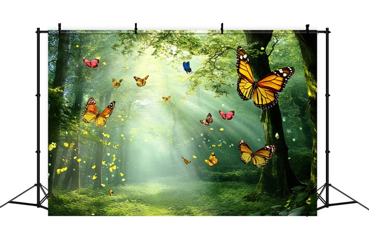 Butterfly Backdrops Golden Light Forest Summer Backdrop CSH5-72