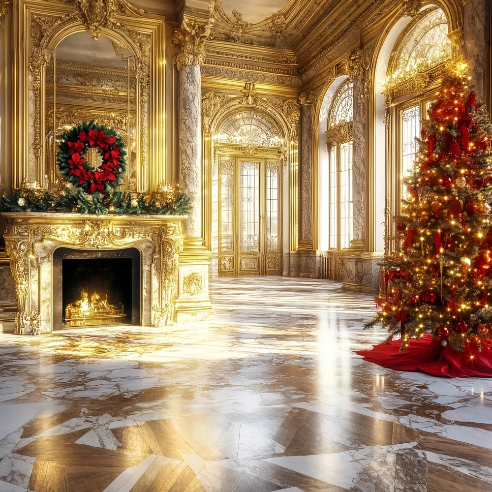 Vintage Christmas Backdrop Opulent Royal Palace Backdrop CSH57-103