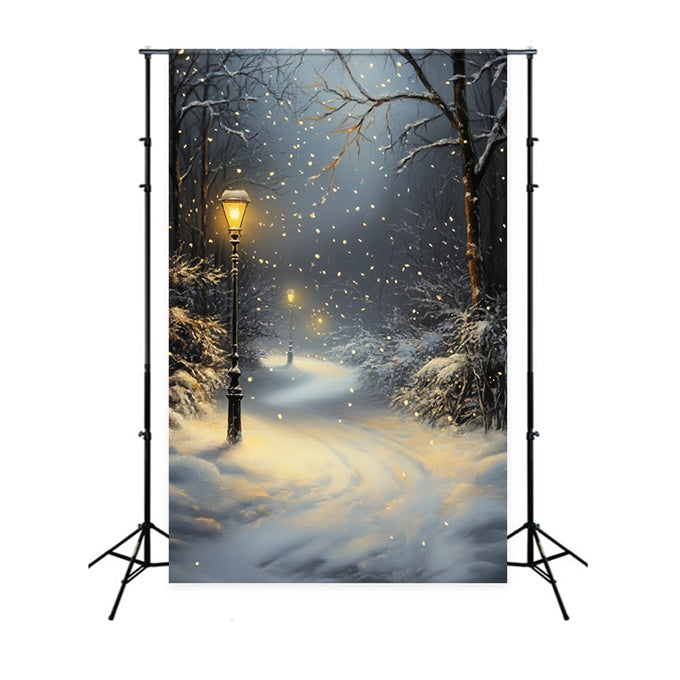 Winter Forest Backdrop Snowfall Lantern Path Backdrop CSH57-151