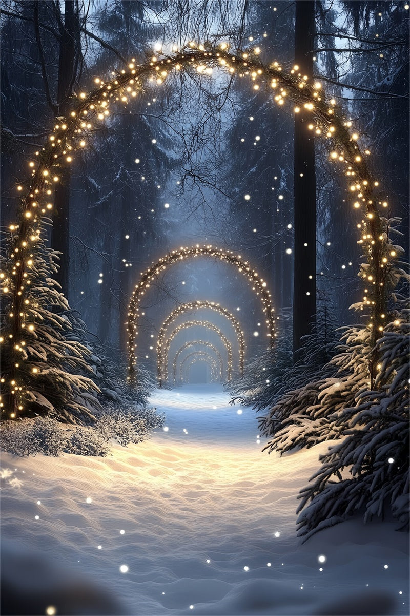Snow Forest Backdrop Enchanted Lighted Pathway Backdrop CSH57-152