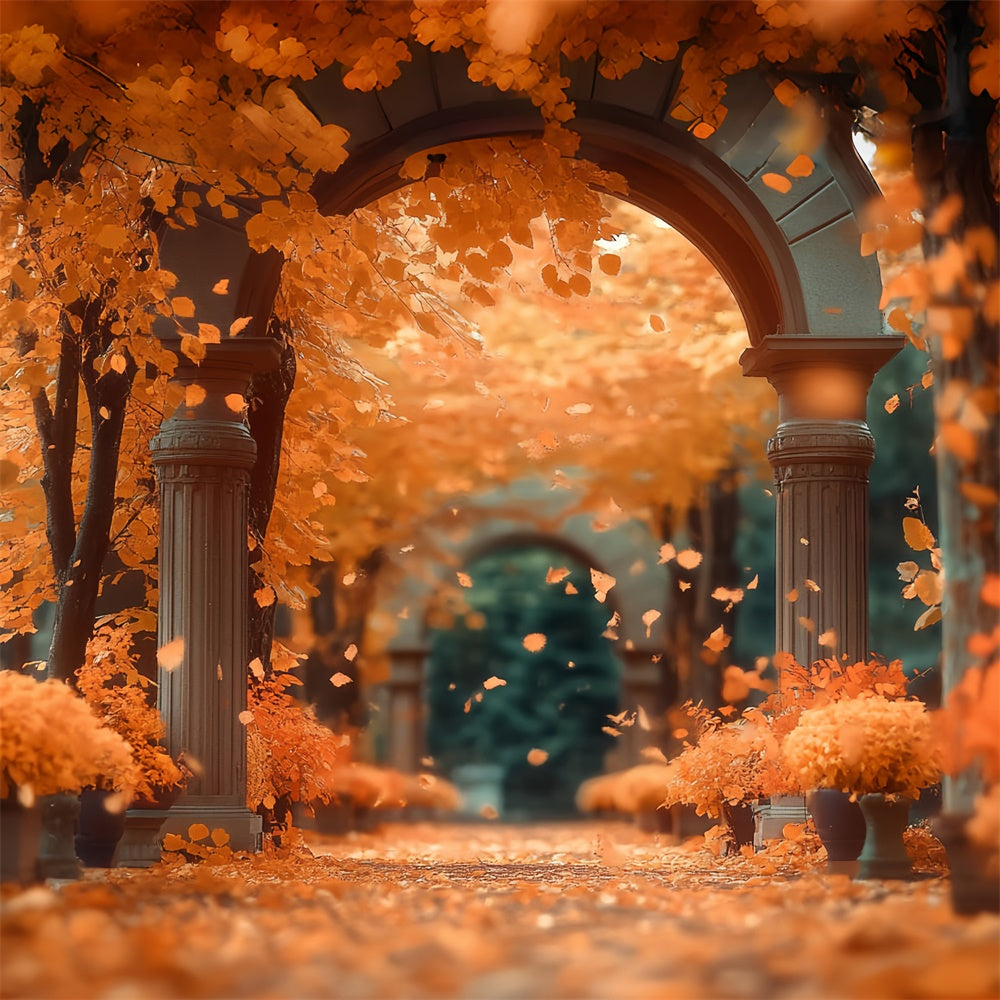 Autumn Forest Backdrop Sunset Maple Passage Backdrop CSH57-157