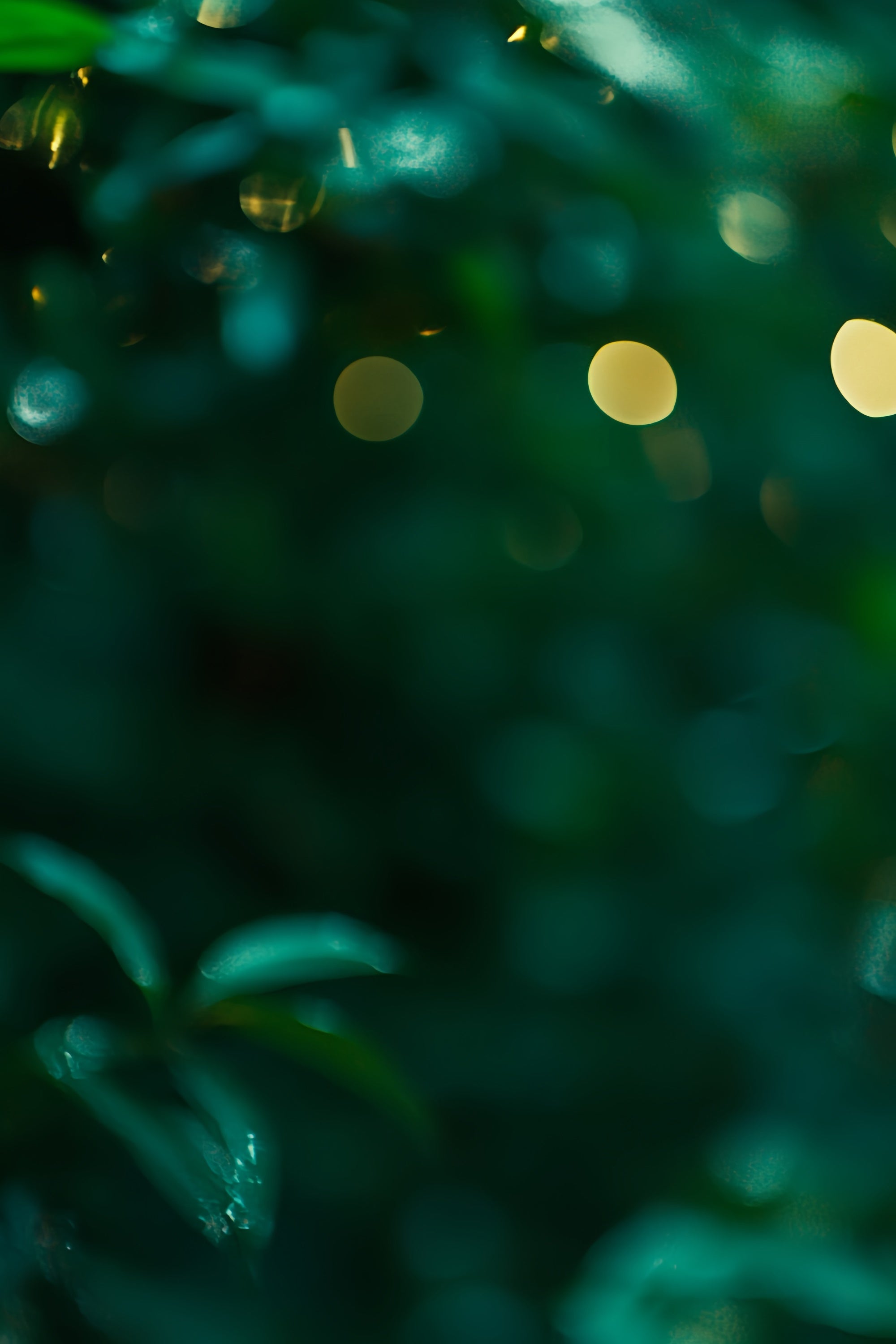 Emerald Green Backdrop Green Dream Glow Backdrop CSH57-18