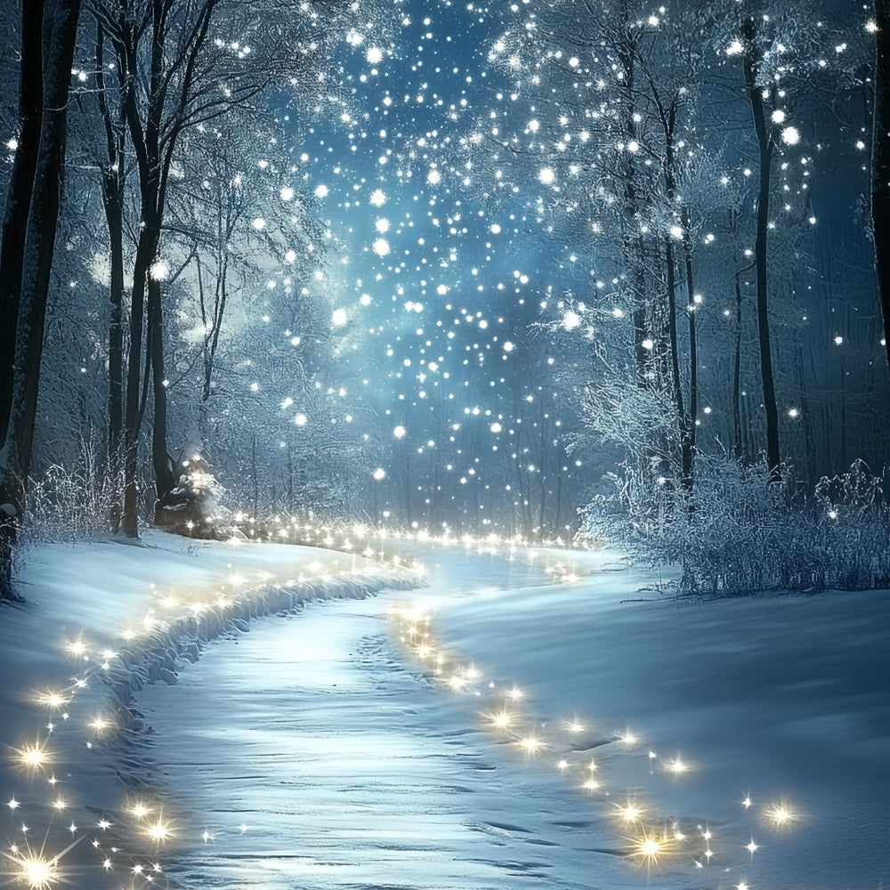 Winter Wonderland Backdrop Midnight Snow Sparkle Backdrop CSH57-201