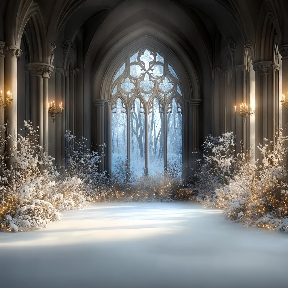Winter Backdrop Photography Snowlit Gothic Hall Backdrop CSH57-206