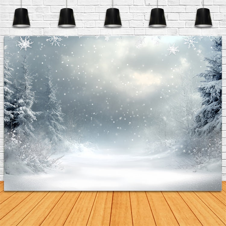Winter Wonderland Backdrop Silent Snowfall Mist Backdrop CSH57-210