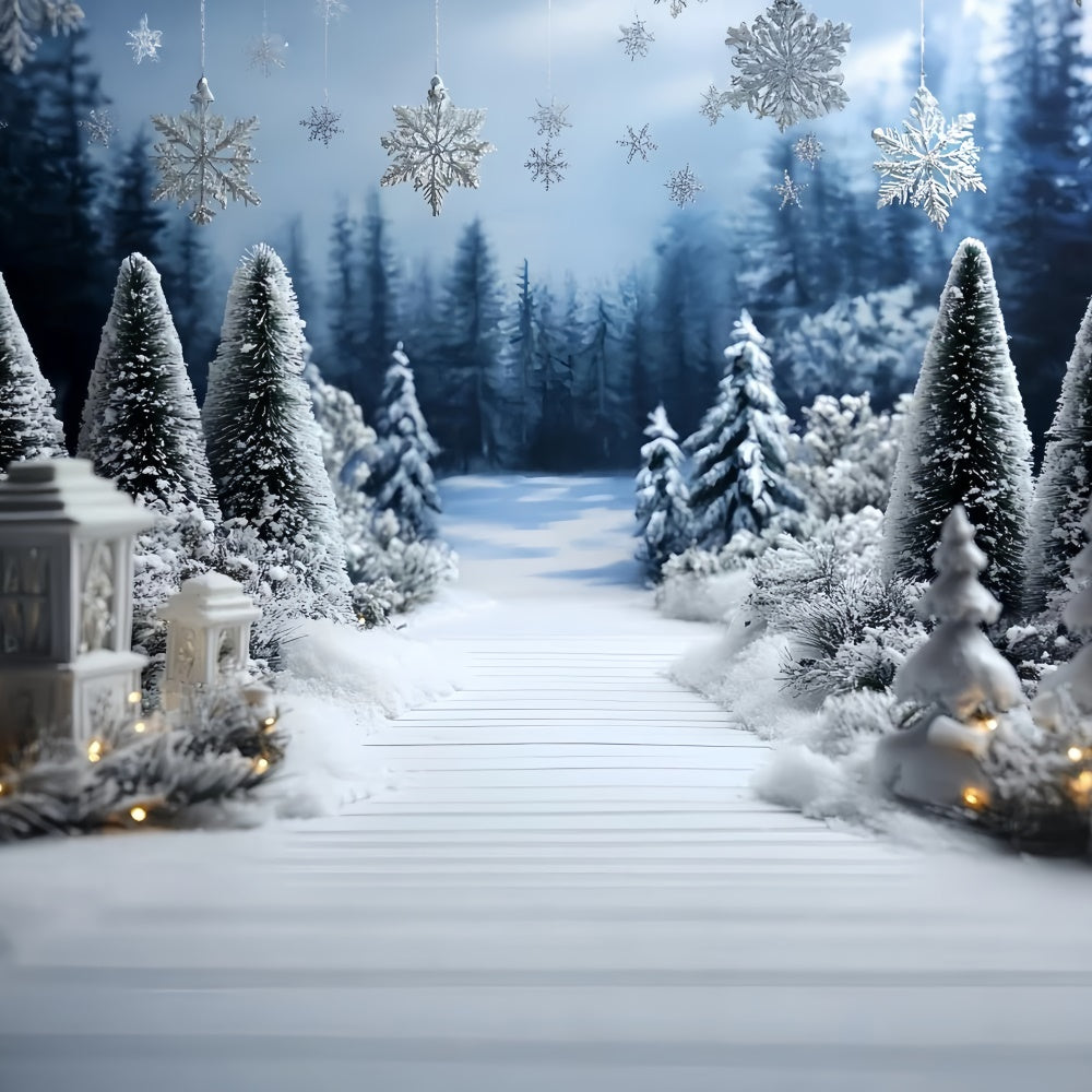 Winter Wonderland Photo Backdrop Pine Path Entry Backdrop CSH57-211