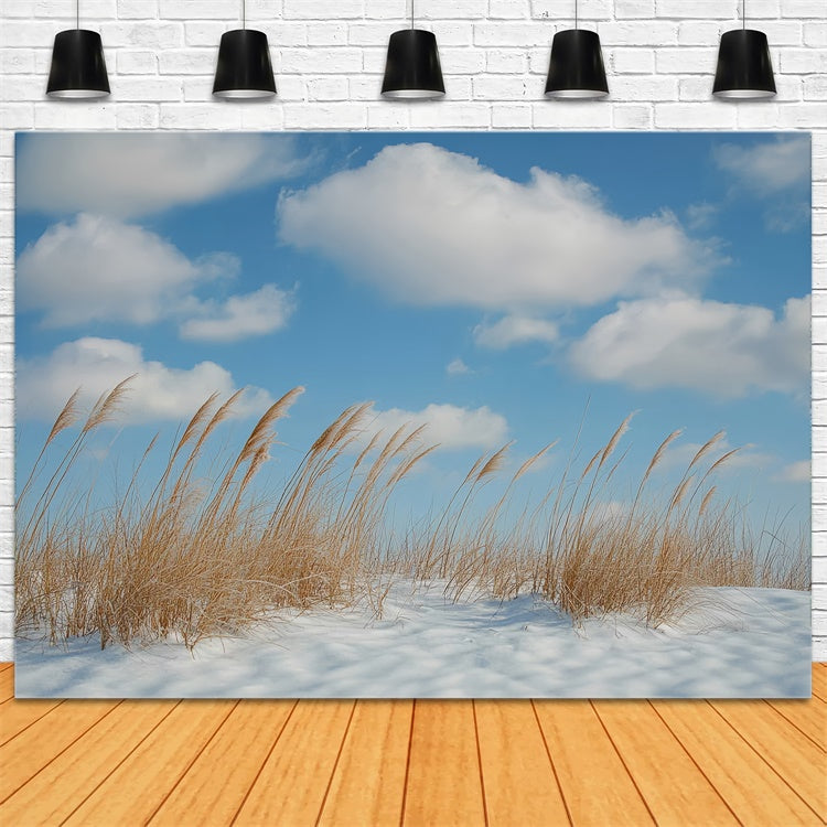Winter Backdrops Meadow Breeze Blue Sky Backdrop CSH57-222
