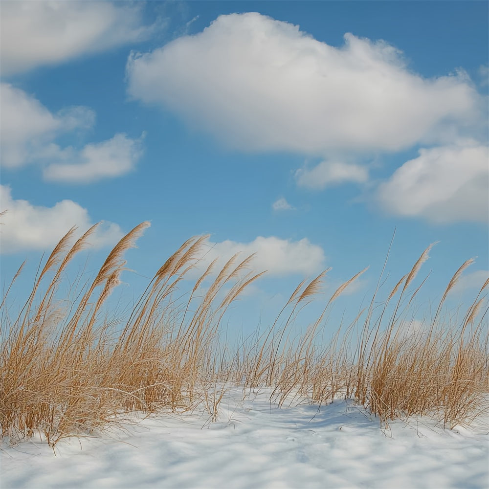 Winter Backdrops Meadow Breeze Blue Sky Backdrop CSH57-222