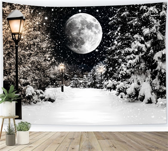 Winter Snow Backdrop Midnight Snowfall Trail Backdrop CSH57-223
