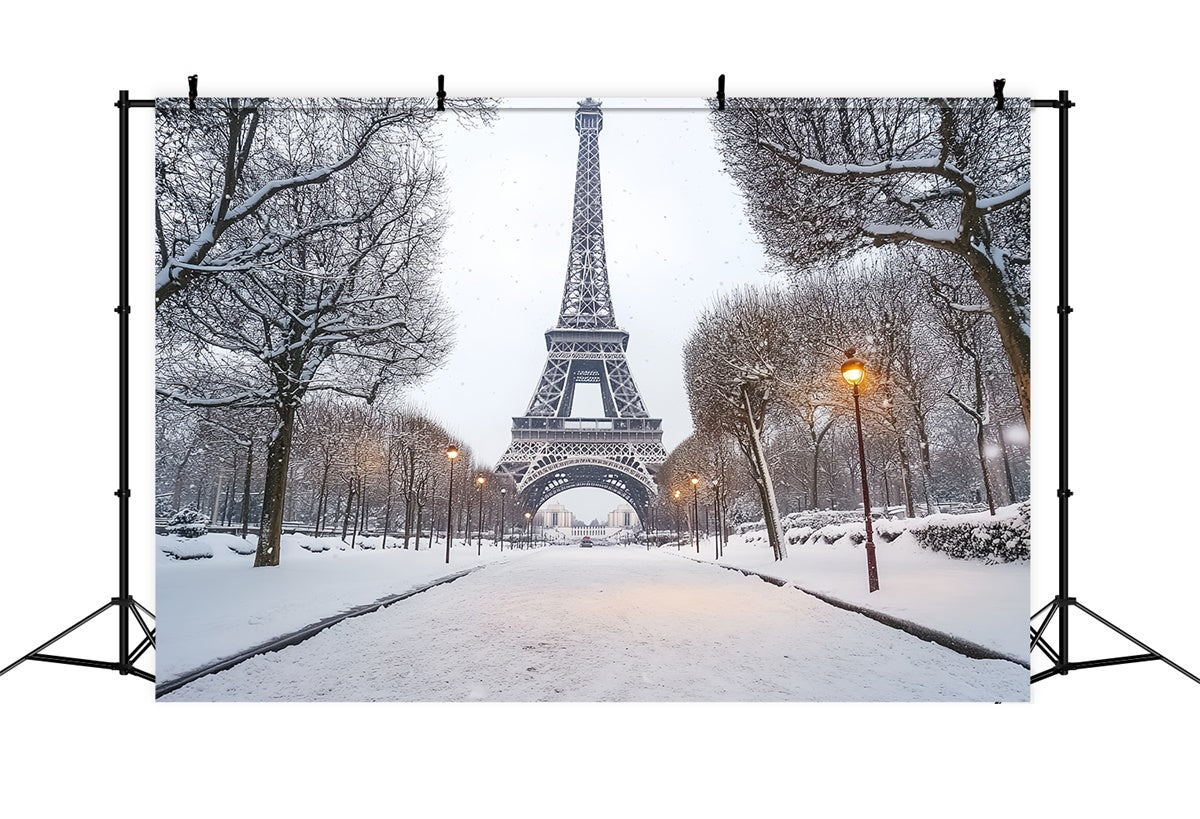 Winter Scene Backdrop Winter Eiffel Elegance Backdrop CSH57-230