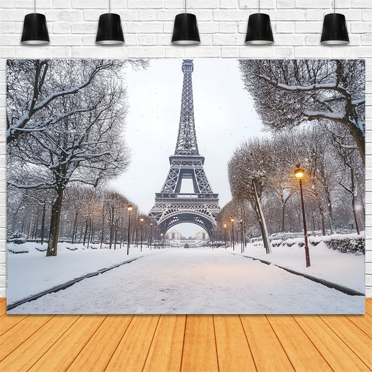 Winter Scene Backdrop Winter Eiffel Elegance Backdrop CSH57-230