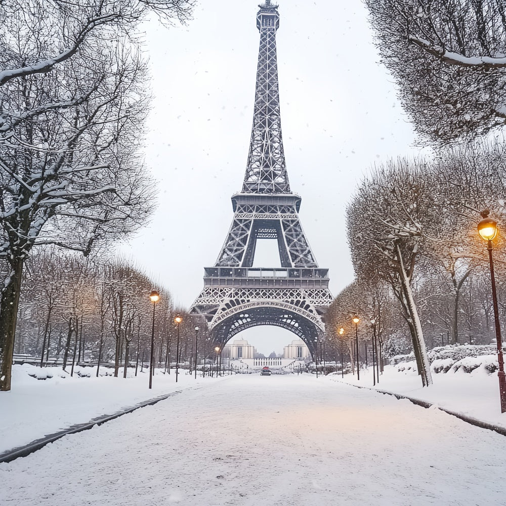 Winter Scene Backdrop Winter Eiffel Elegance Backdrop CSH57-230