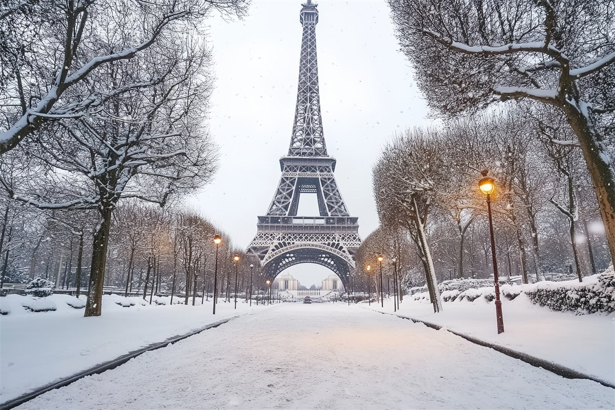 Winter Scene Backdrop Winter Eiffel Elegance Backdrop CSH57-230