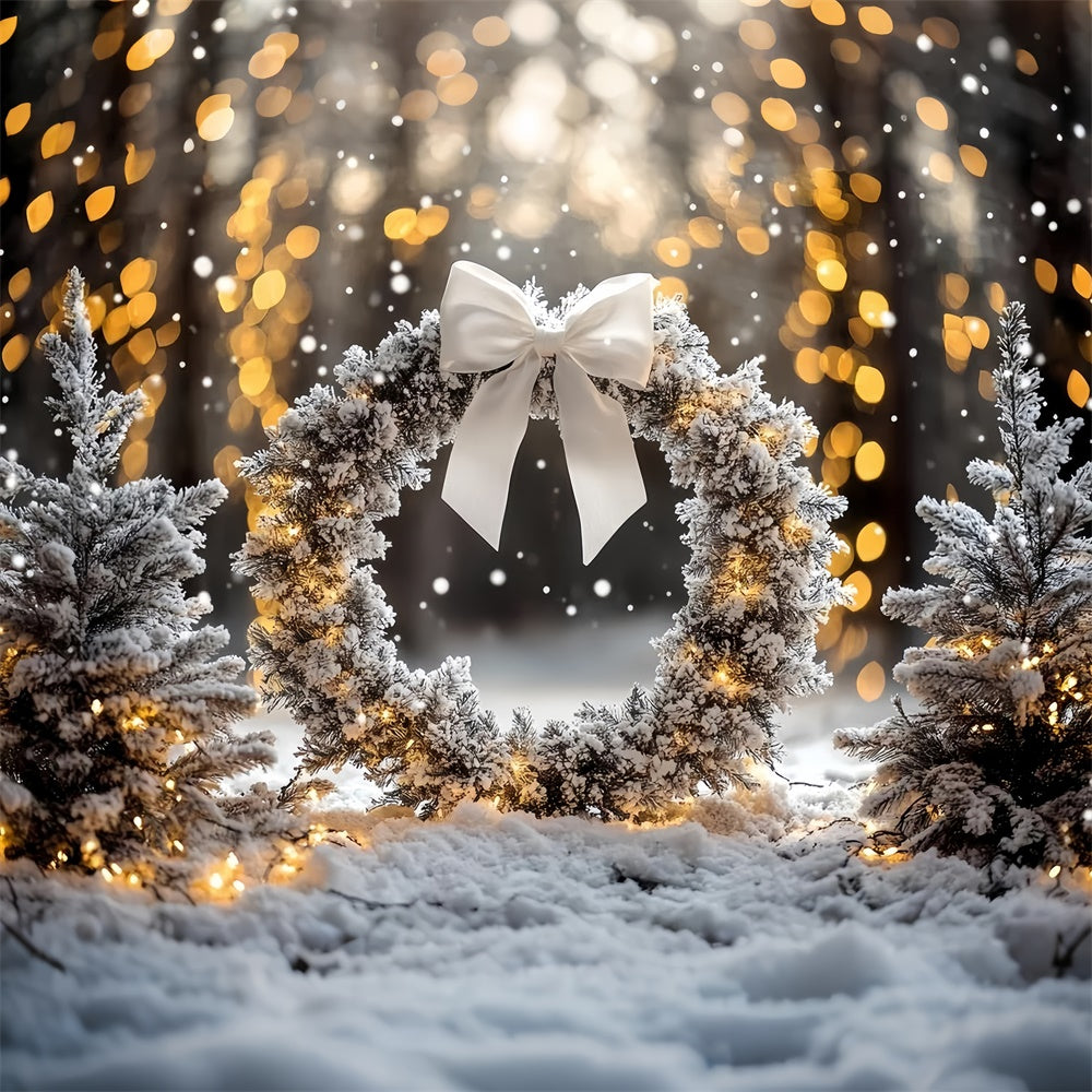 Winter Photo Backdrop Frosted Pine Wreath Backdrop CSH57-231