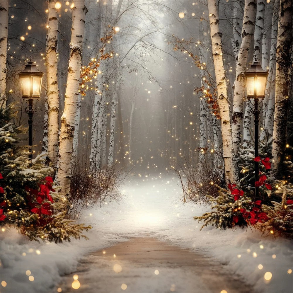 Winter Scene Backdrop Holiday Twilight Birch Backdrop CSH57-237