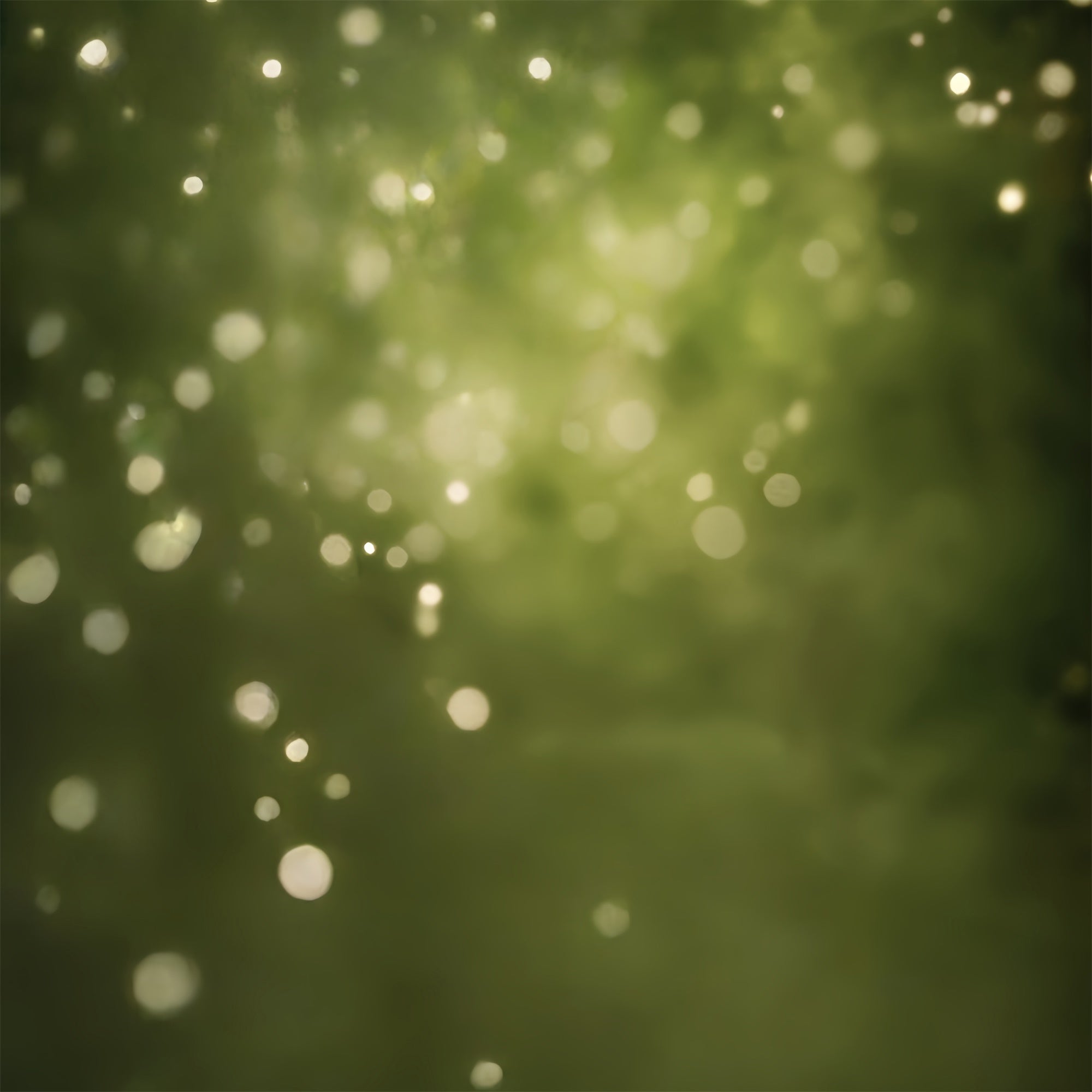Olive Green Backdrop Forest Haze Bokeh Backdrop CSH57-30